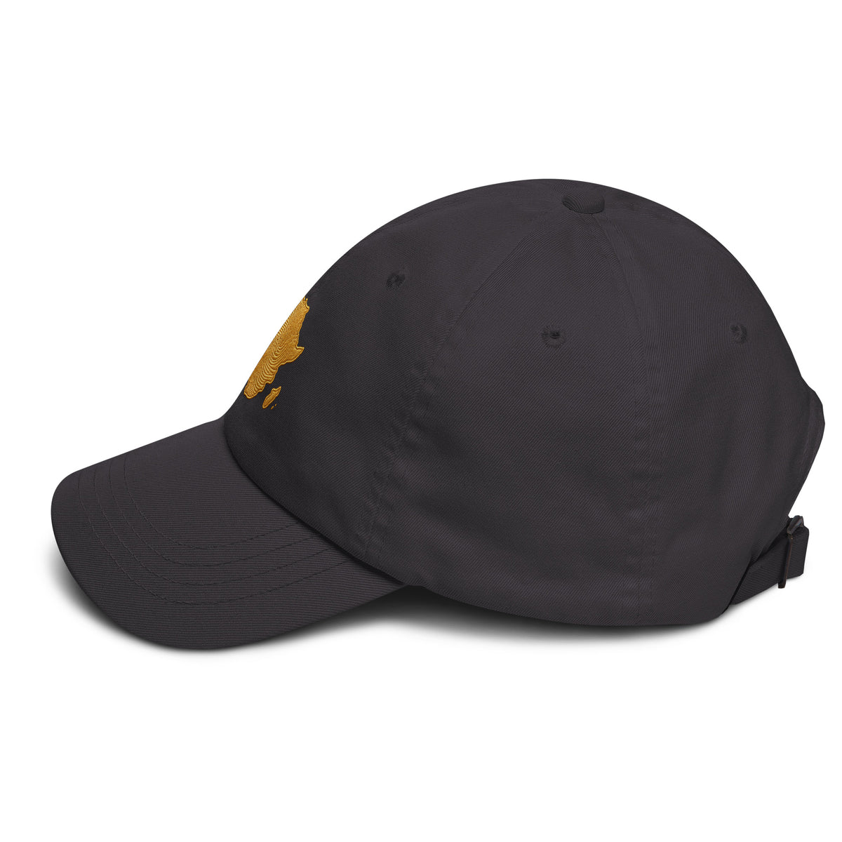 Casquette Grise Carte Afrique - vue de profil gauche - African Generation