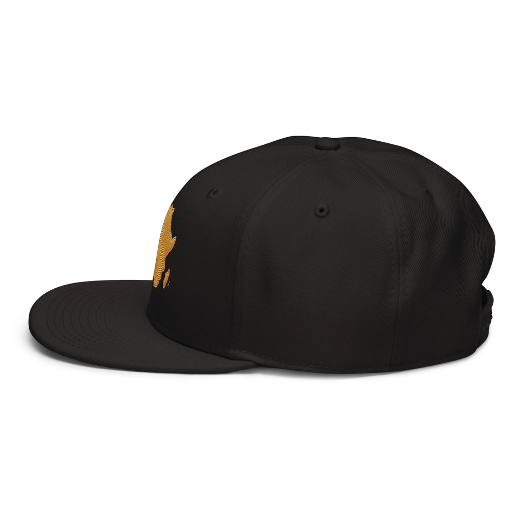 Snapback Noir Carte Afrique - vue de profil gauche - African Generation