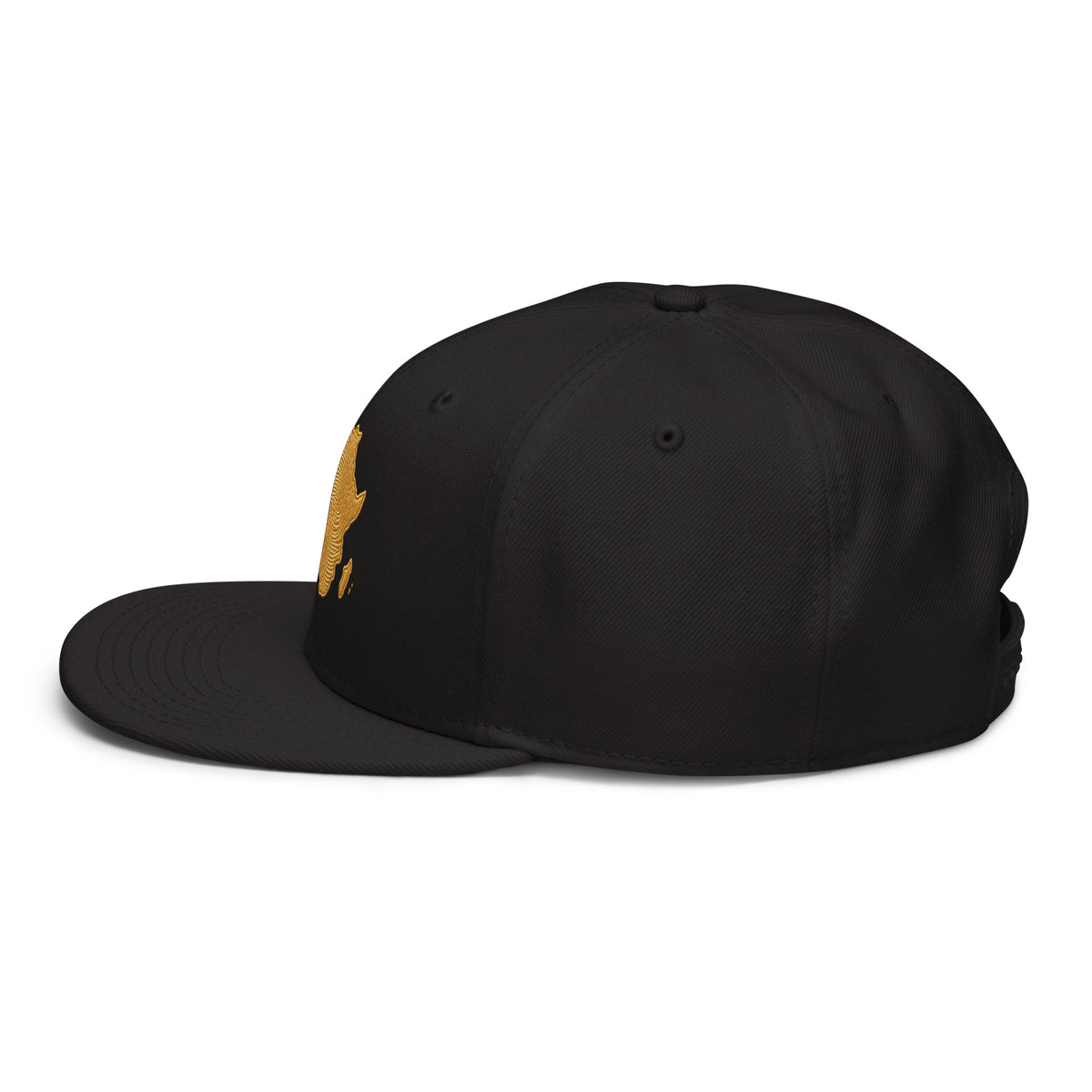 Snapback Noir Carte Afrique - vue de profil gauche - African Generation