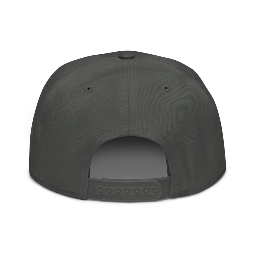 Snapback Gris Chiné African Generation — GA dorée - vue de dos - African Generation