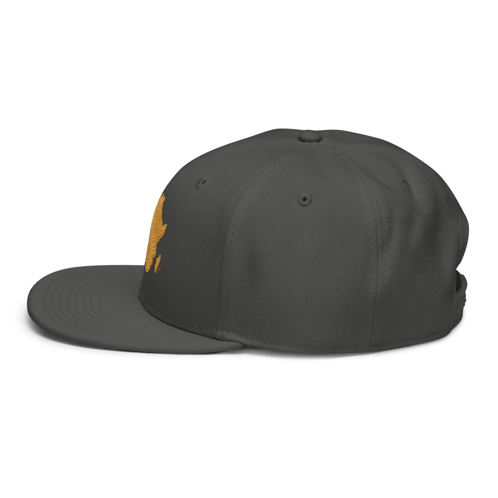 Snapback Gris Carte Afrique - vue de profil gauche - African Generation