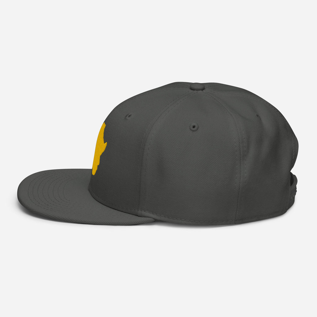 Snapback Gris Broderie GA - vue de profil gauche - African Generation