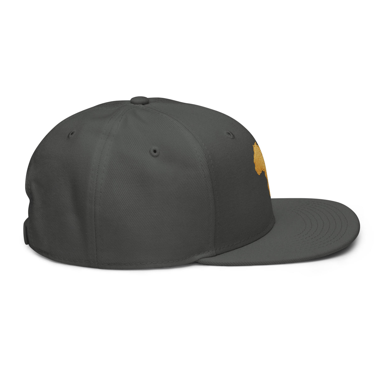Snapback Gris Carte Afrique - vue de profil droit - African Generation